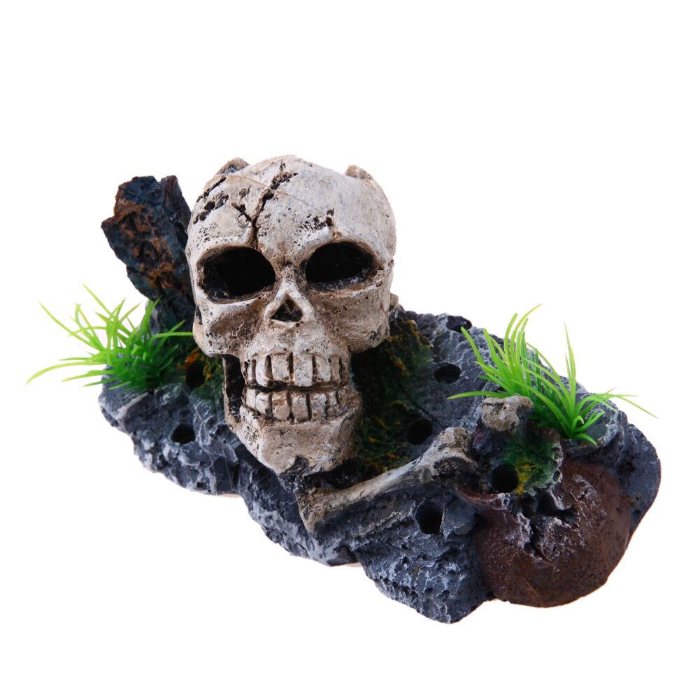 Décoration Aquarium Tête de Mort Denae