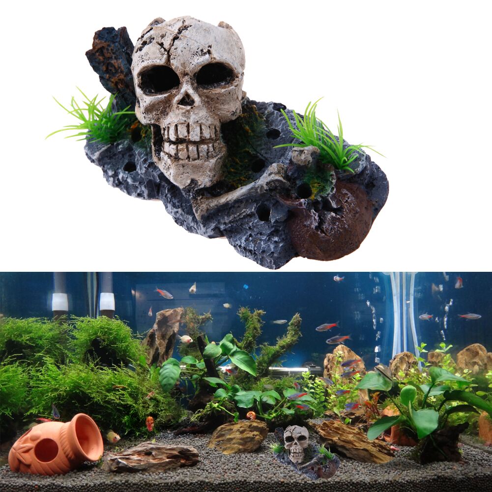 Decoration-Aquarium-Tete-de-Mort-Denae-a