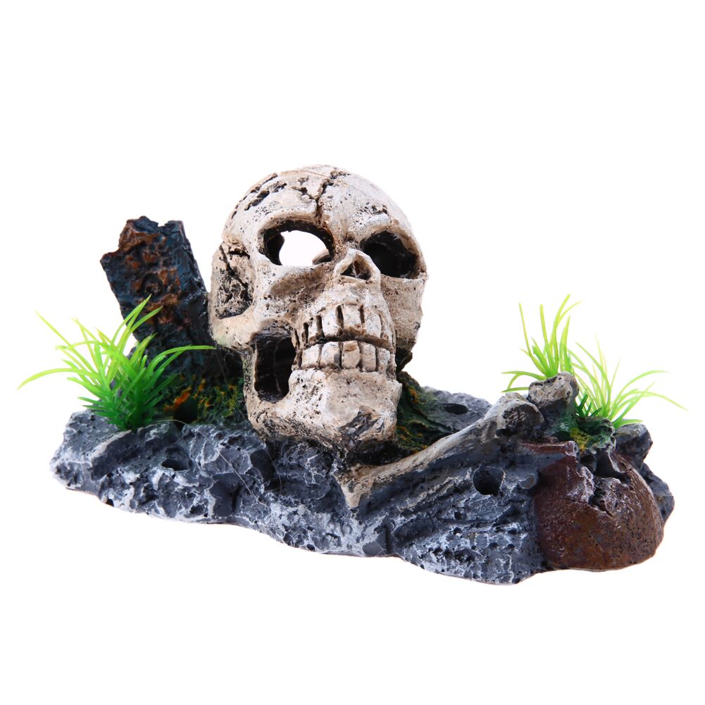 Decoration-Aquarium-Tete-de-Mort-Denae-c