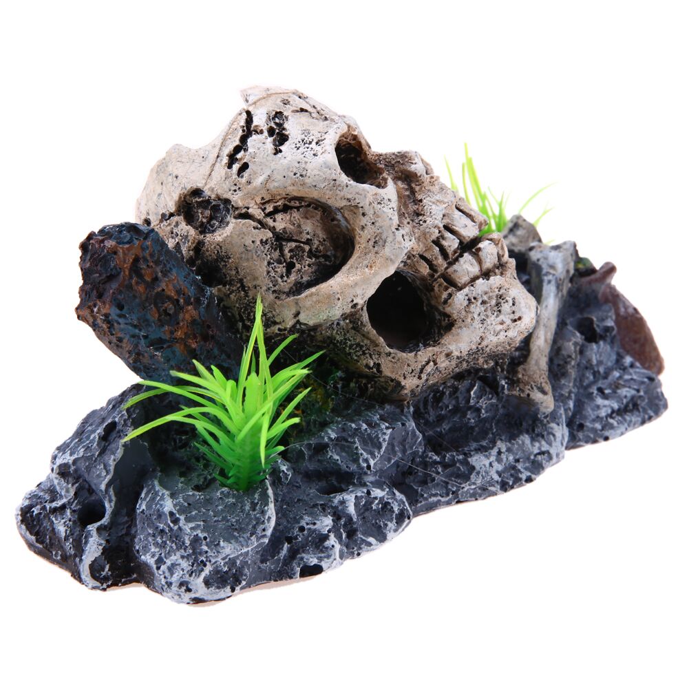 Decoration-Aquarium-Tete-de-Mort-Denae-d