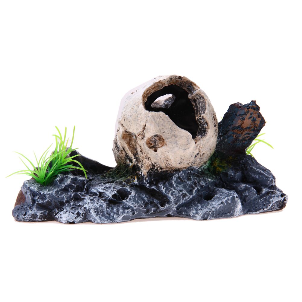 Decoration-Aquarium-Tete-de-Mort-Denae-e