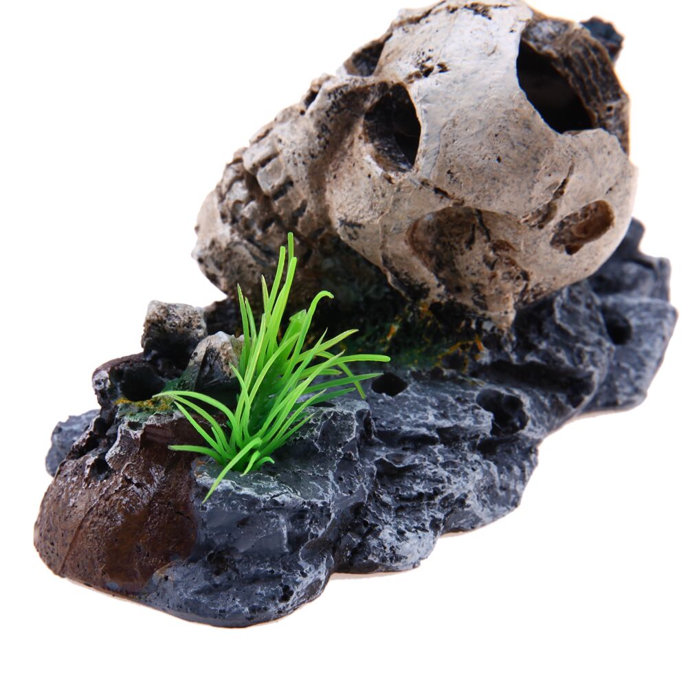 Decoration-Aquarium-Tete-de-Mort-Denae-f